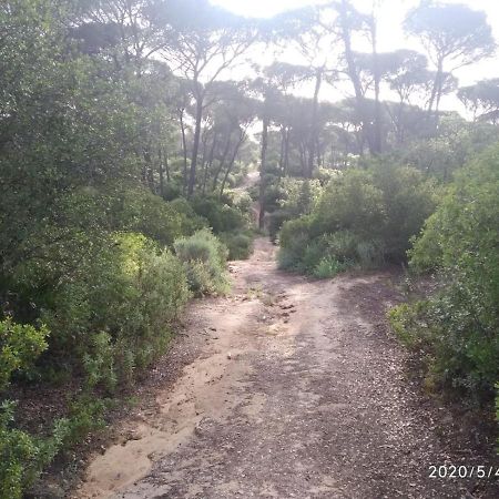 Hinojos Casa Rural Los Pinos מראה חיצוני תמונה