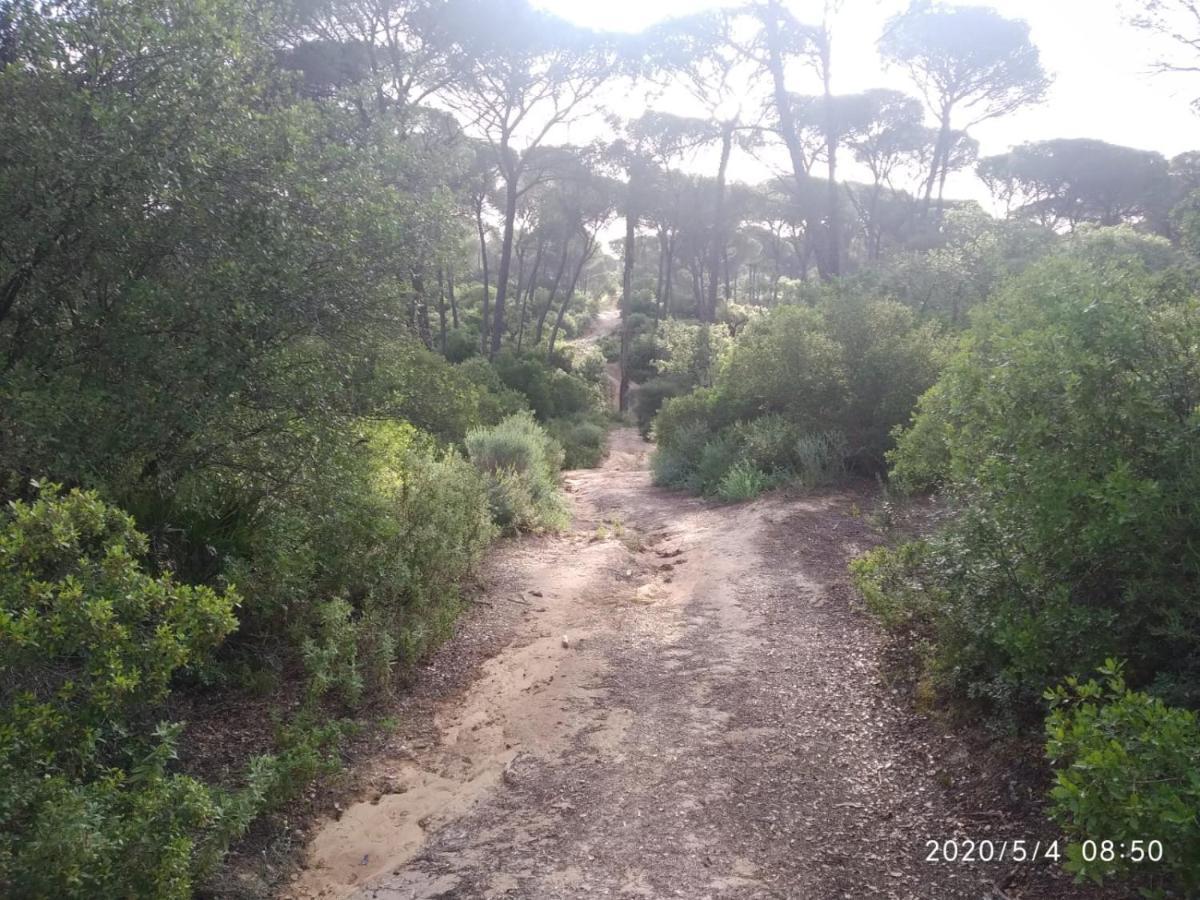 Hinojos Casa Rural Los Pinos מראה חיצוני תמונה